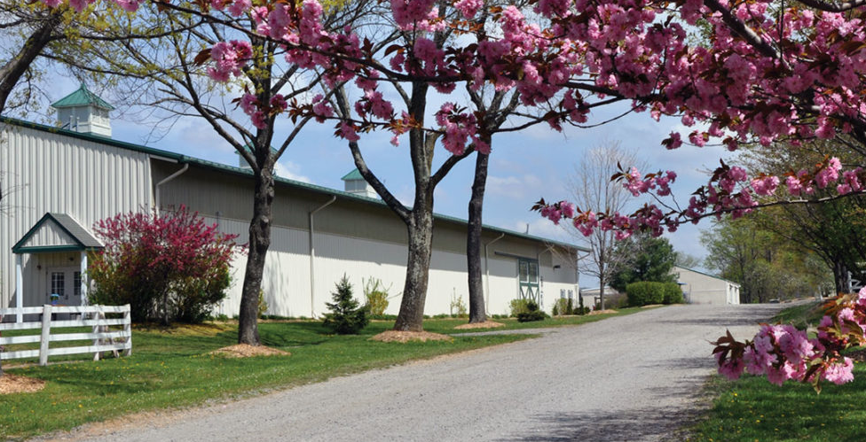 Faculty-Listing-EQUINE