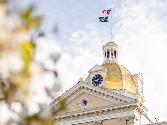 A low-angle view of a historic building's golden dome and clock tower under a cloudy sky, with the American flag flying at the top and blurred white blossoms in the foreground.