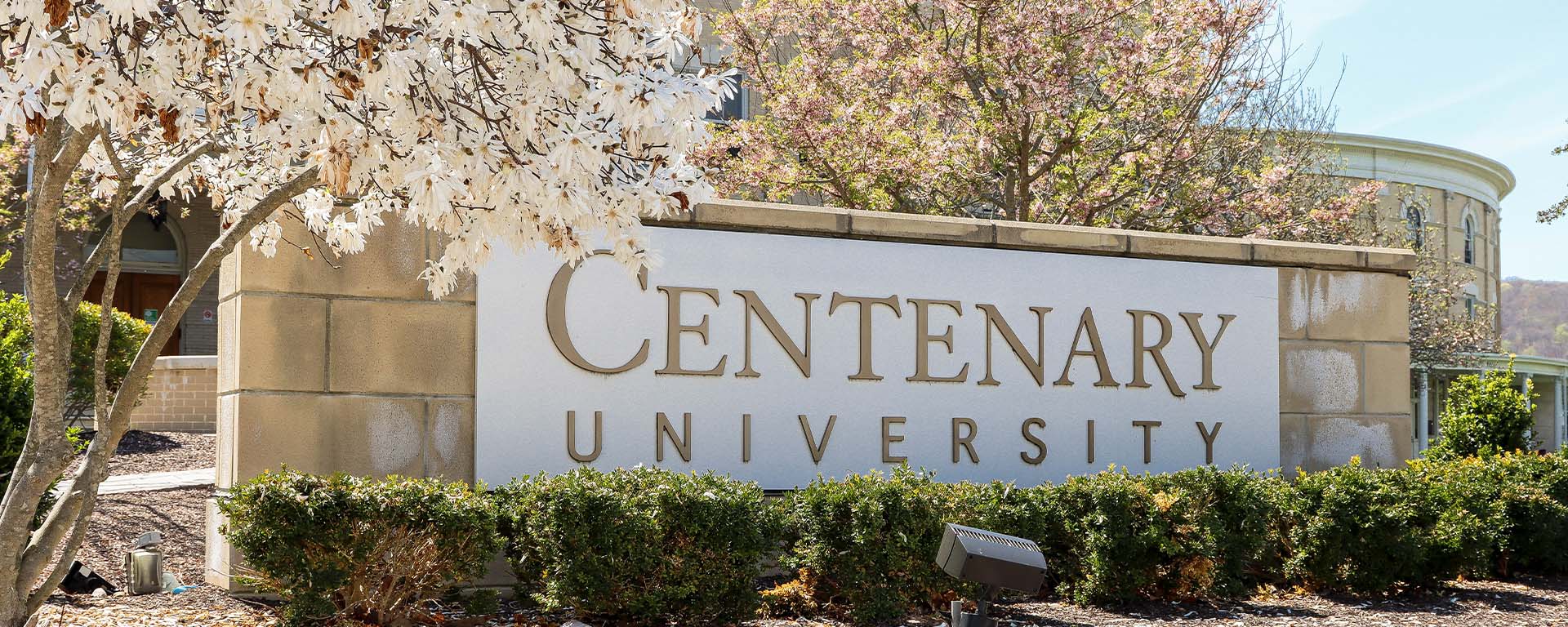 centenary university sign surrounded by spring flowers