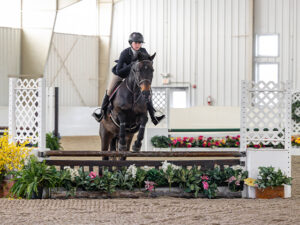 ncea